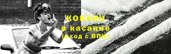 тгк Алзамай