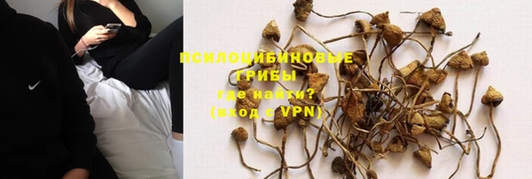 PSILOCYBIN Алексеевка