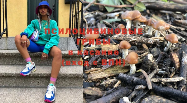 дмт Аркадак