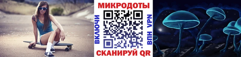 Галлюциногенные грибы Psilocybine cubensis  Байкальск 